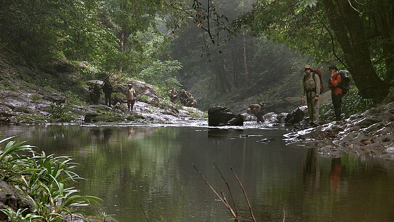 Migrantes que cruzaram a selva Darién começaram a retornar em voos financiados pelos EUA